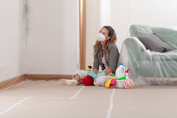 Reliable Commercial Mold Remediation contractor in Wakefield, MI by WQB Mold Removal